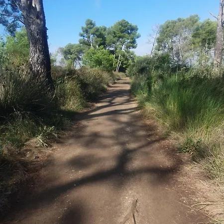 Mobil-home Grand Confort *