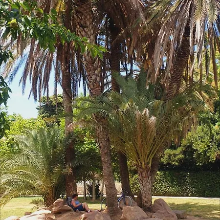 Mobil-home Grand Confort הייר