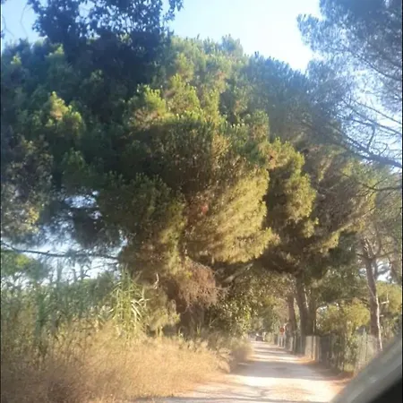 Mobil-home Grand Confort * הייר