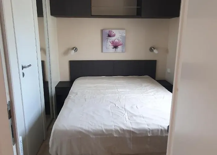 Mobil-home Grand Confort Camping